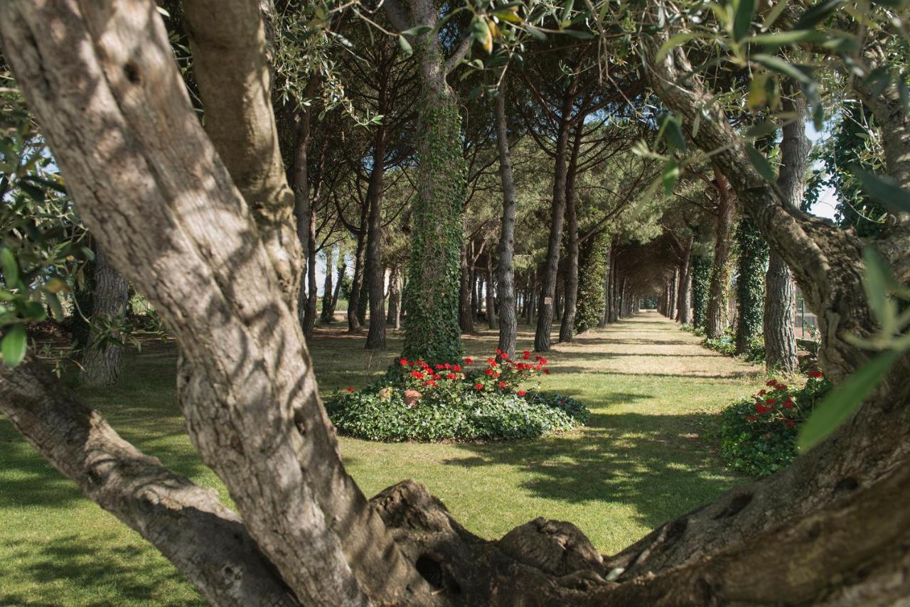 Hotel El Moli Sant Pere Pescador Eksteriør billede