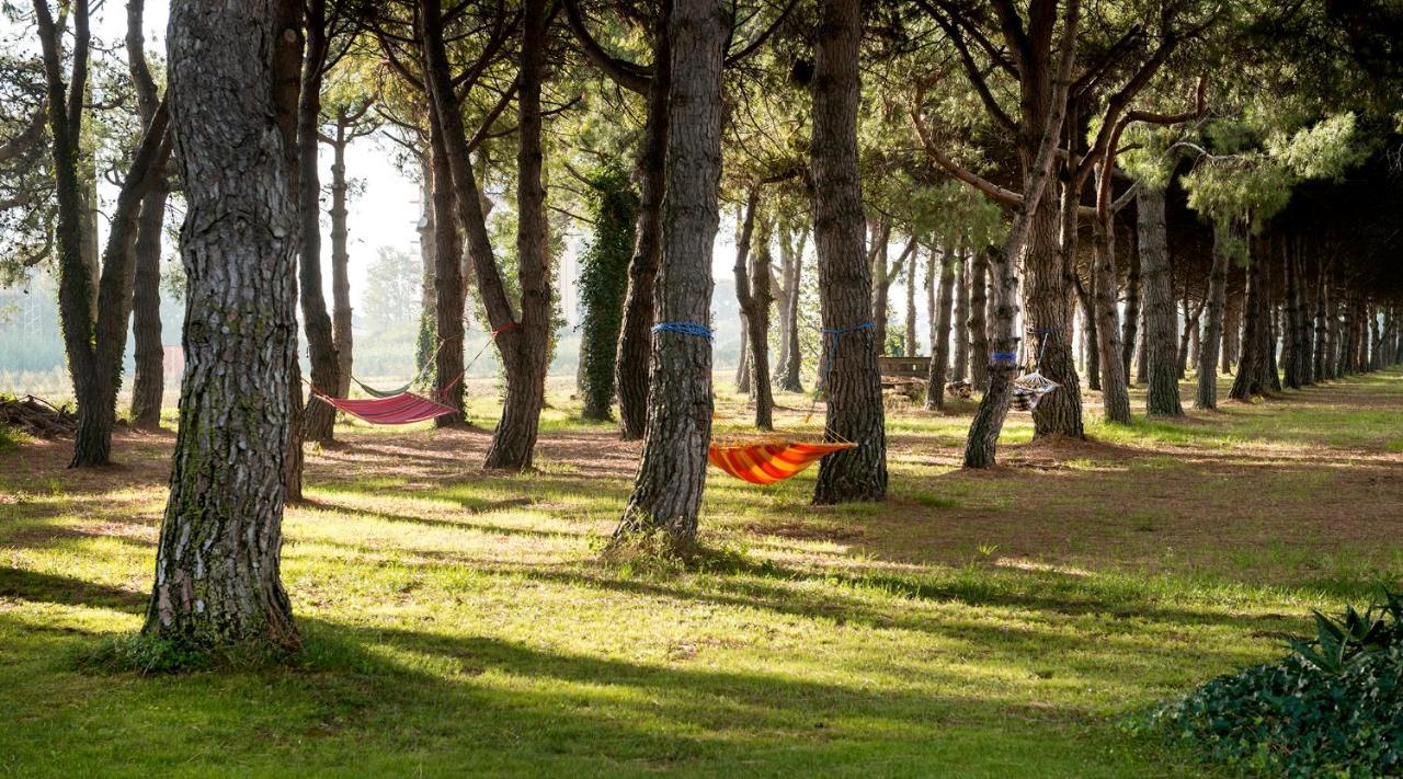 Hotel El Moli Sant Pere Pescador Eksteriør billede